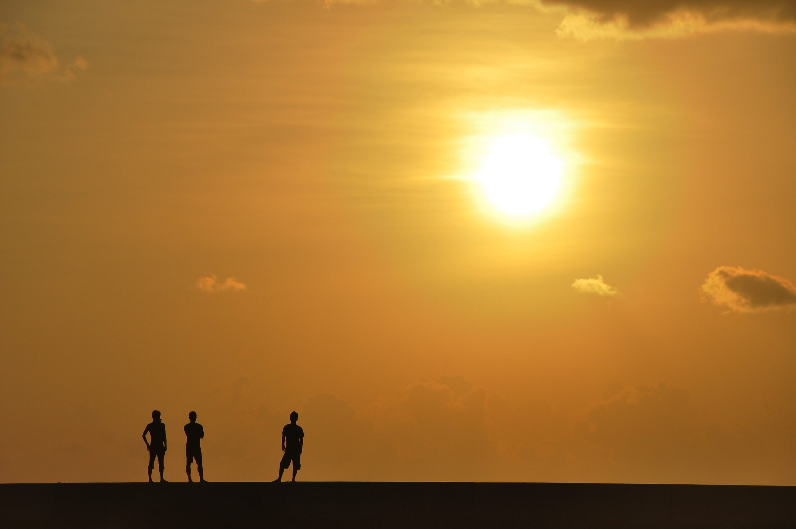 二子玉川ライズ十周年企画