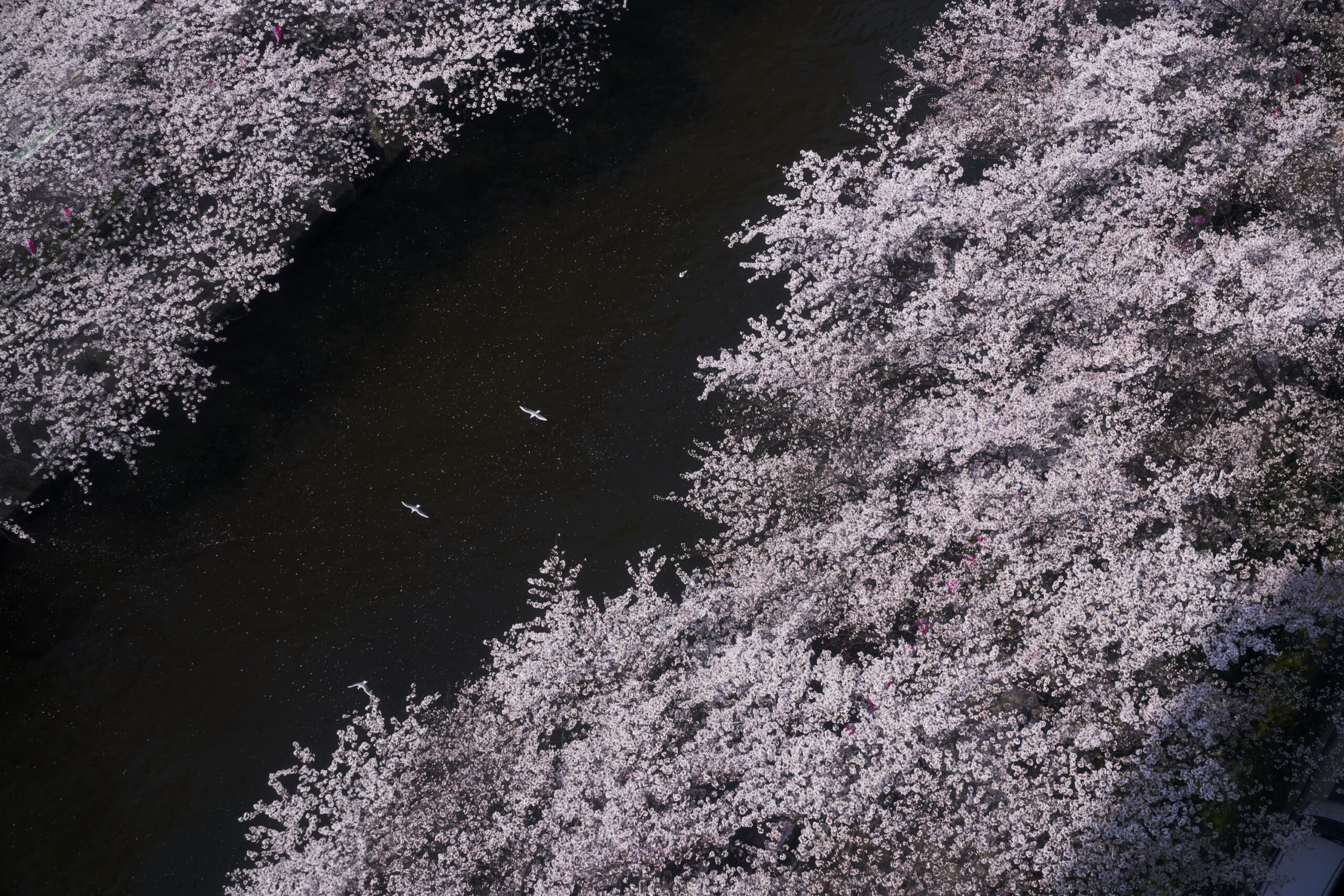 イトーヨーカ堂のマーケティングゼミ