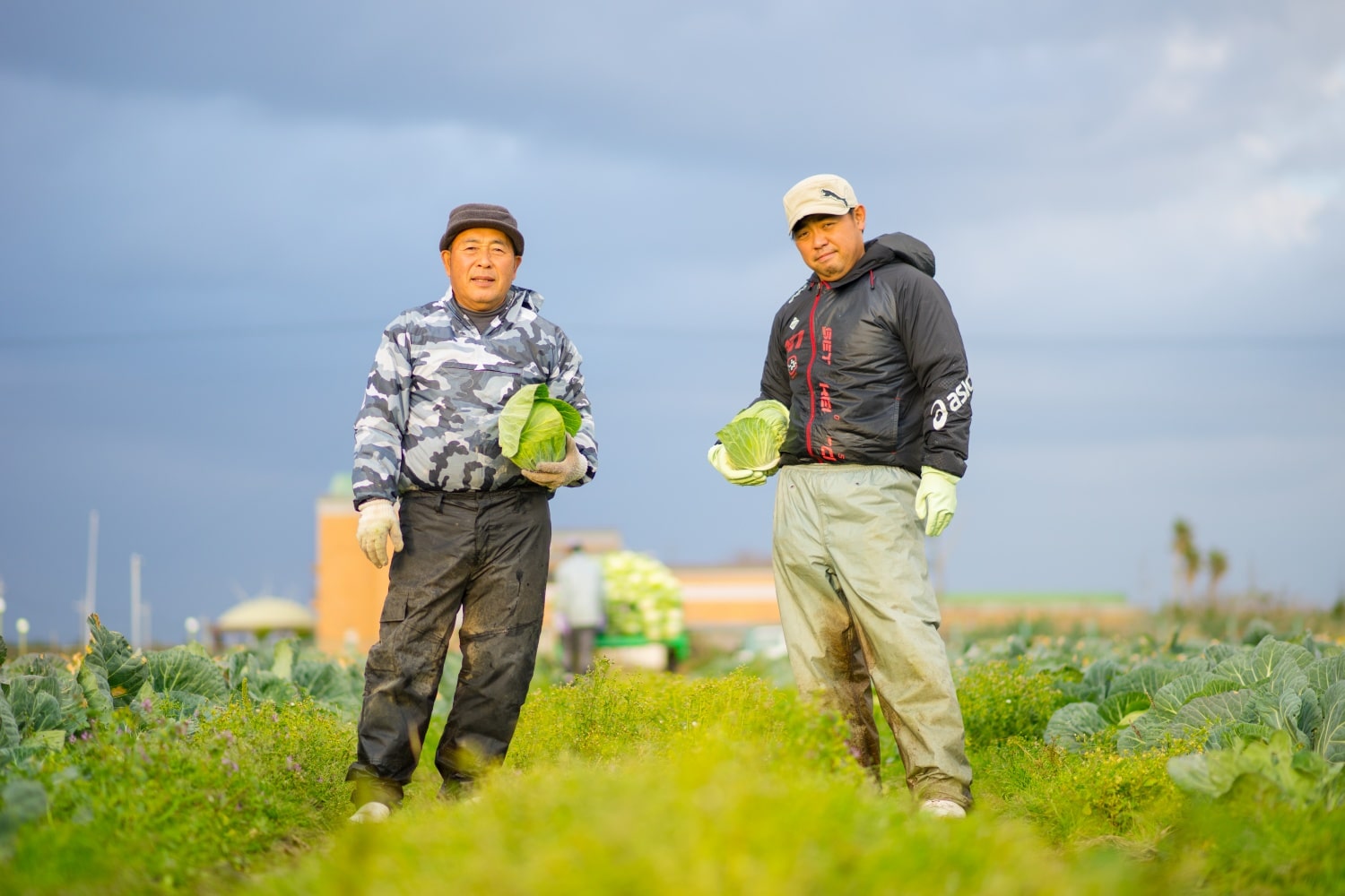 愛知県田原市味研連の畑