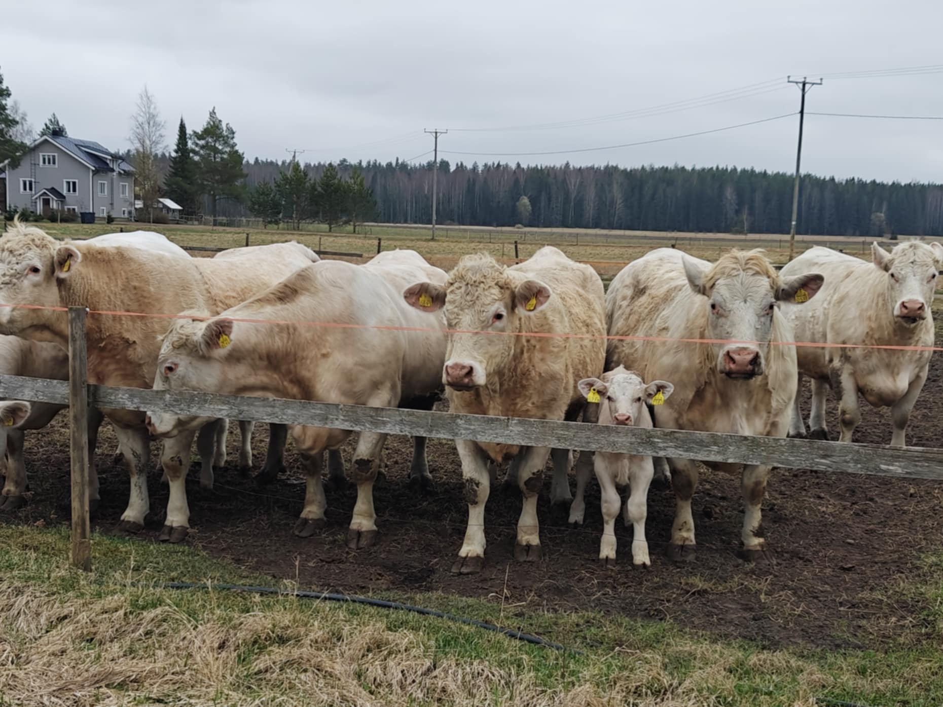 コミュニティとのつながり