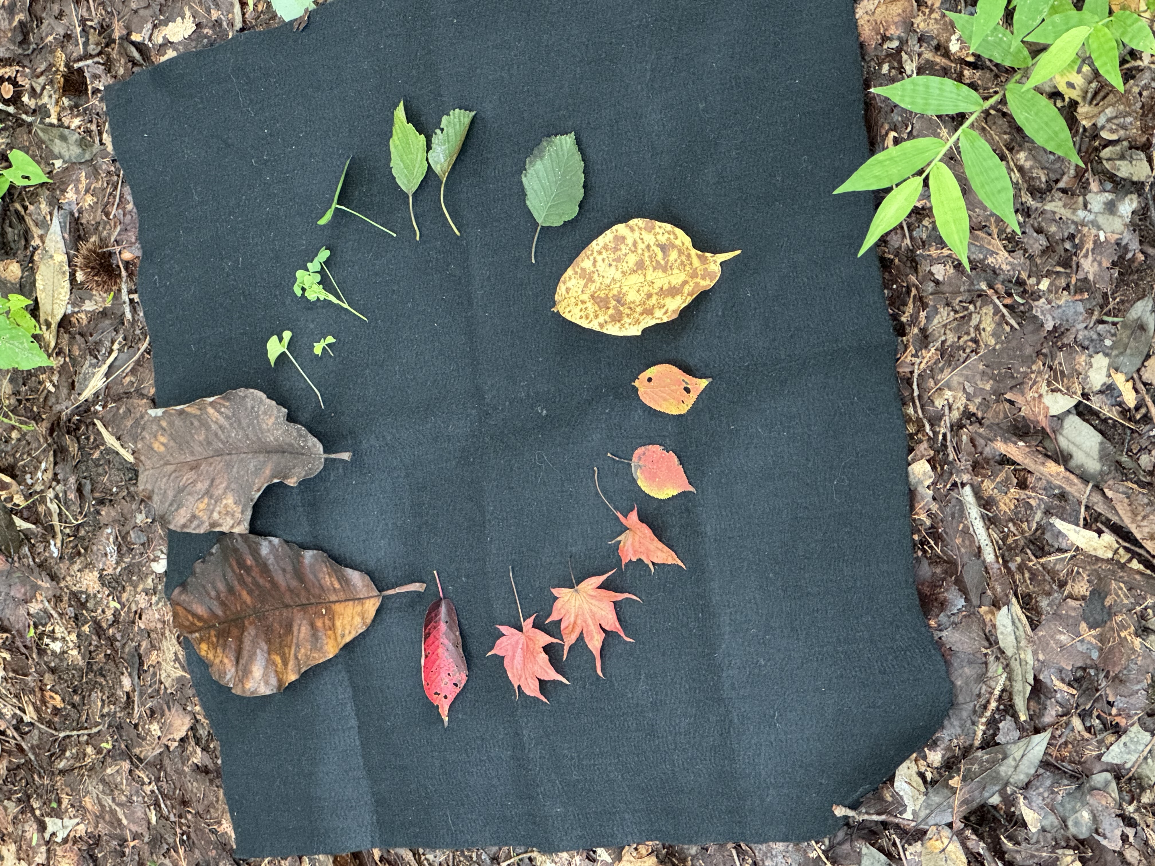 街に根付く文化